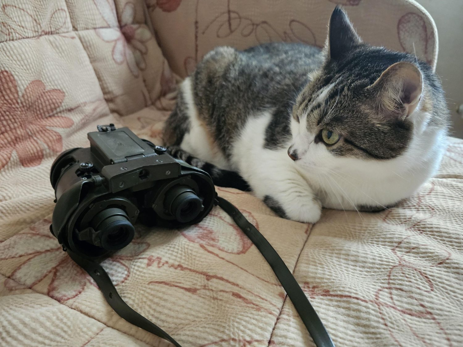 20230608_110829.jpg